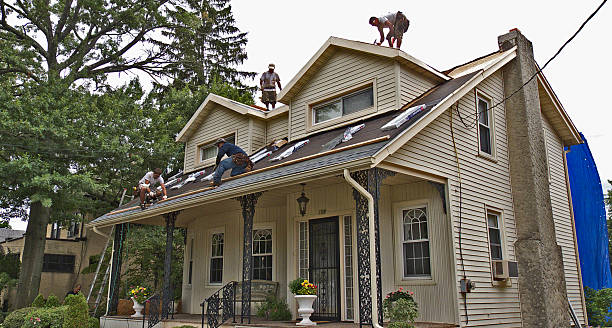 Best Roof Maintenance Services  in Naples Manor, FL